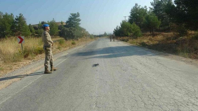 Muğla’da Kaybolan Yaşlı Adamı Arama Çalışmaları Devam Ediyor