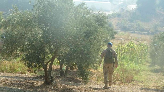 Muğla’da Kaybolan Yaşlı Adamı Arama Çalışmaları Devam Ediyor