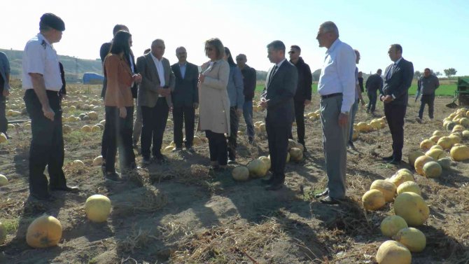 Vali Becel: “Çerezlik Kabak Çekirdeğinde Türkiye’nin Yüzde 31’ini Nevşehir Üretiyor”
