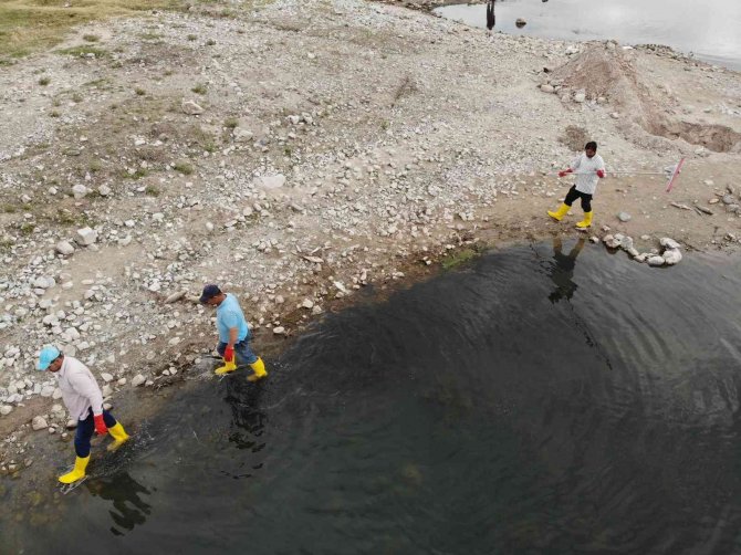 Organize Sanayi’nin Atık Suları Toplu Balık Ölümüne Neden Oldu