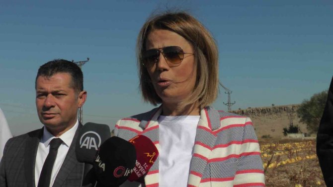 Vali Becel: “Çerezlik Kabak Çekirdeğinde Türkiye’nin Yüzde 31’ini Nevşehir Üretiyor”