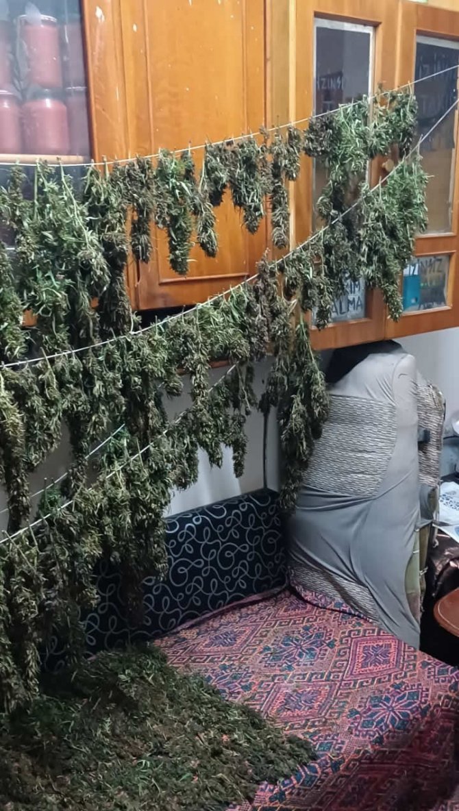 Samsun’da 9 Kilo 975 Gram Esrar Ele Geçirildi: 8 Gözaltı