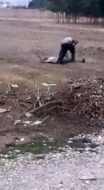 Şanlıurfa’da Dehşete Düşüren Görüntü