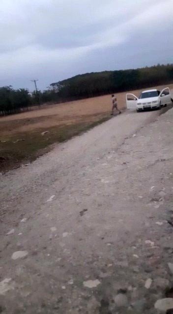 Şanlıurfa’da Dehşete Düşüren Görüntü