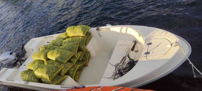 İ̇stanbul Boğazı’nda Kaçak Midye Avcılığı Yapan Şahıs Suçüstü Yakalandı