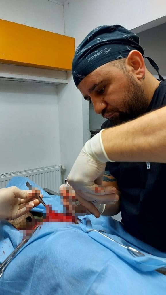 Alman Çoban Köpeğinden Kitle Çıktı