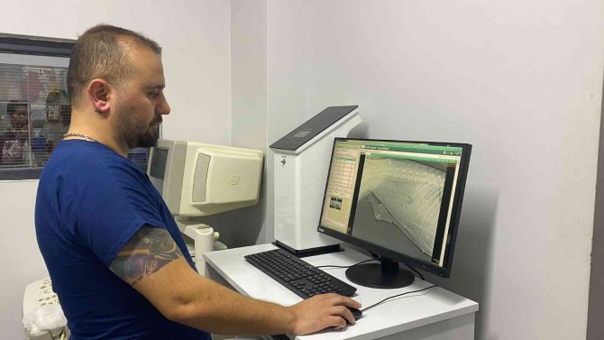 Alman Çoban Köpeğinden Kitle Çıktı