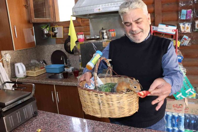 "Boncuk" Sincap Çay Ocağının Maskotu Oldu