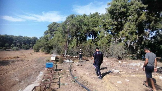 Hırsızların Kestiği Kablo Ormanı Yakıyordu