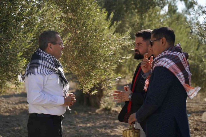 Futbolcular Zeytin Hasadına Katıldı