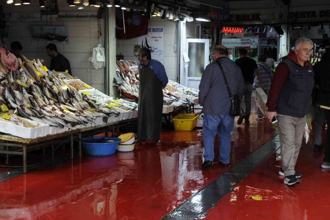 Balık Tezgahlarında Palamut Bolluğu Devam Ediyor
