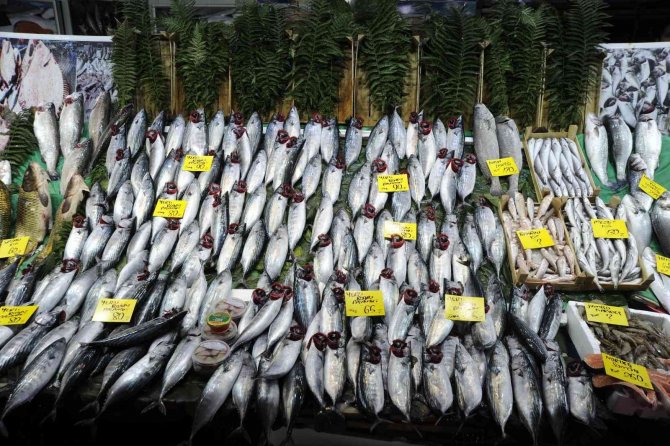 Balık Tezgahlarında Palamut Bolluğu Devam Ediyor