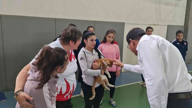 Başkan Özcan, Milli Takımı Ziyaret Etti