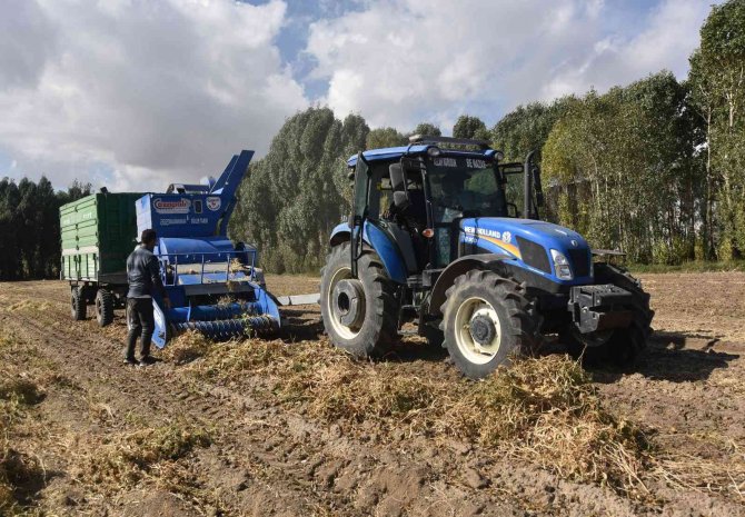 Türkiye’nin Kuru Fasulye İhtiyacını Yüzde 8’ini Ahlat Karşılıyor