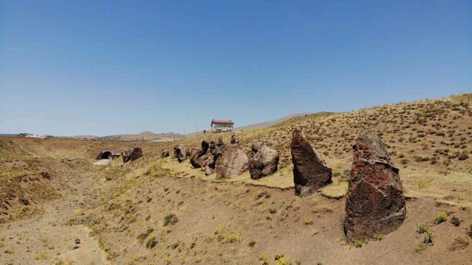Asırlık ’Nemrut Develeri’ Yok Olma Tehlikesiyle Karşı Karşıya