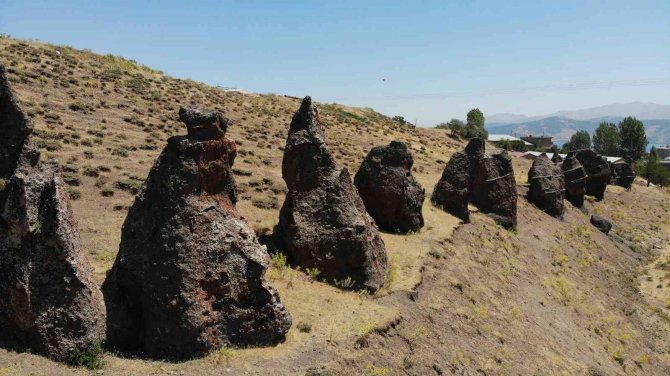 Asırlık ’Nemrut Develeri’ Yok Olma Tehlikesiyle Karşı Karşıya