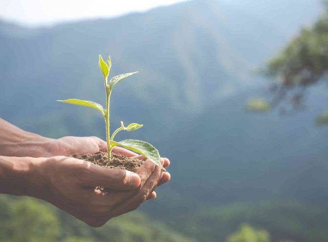 Çevreci Projelere İ̇zmir Desteği