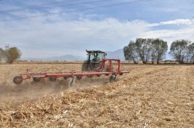 Tarlada Kalan Mısır Sapları Elektrik Enerjisine Dönüşüyor