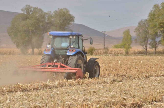 Tarlada Kalan Mısır Sapları Elektrik Enerjisine Dönüşüyor