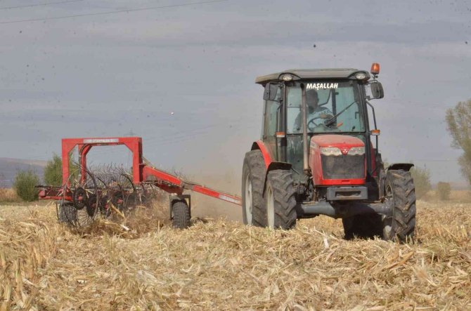 Tarlada Kalan Mısır Sapları Elektrik Enerjisine Dönüşüyor