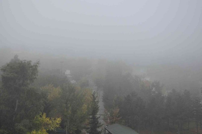 Kars’ta Yoğun Sis