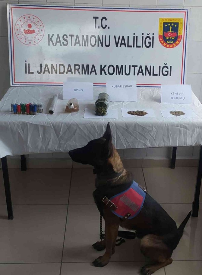 Kastamonu’da Jandarma Ekiplerinden 2 Ayrı Uyuşturucu Operasyonu: 3 Gözaltı