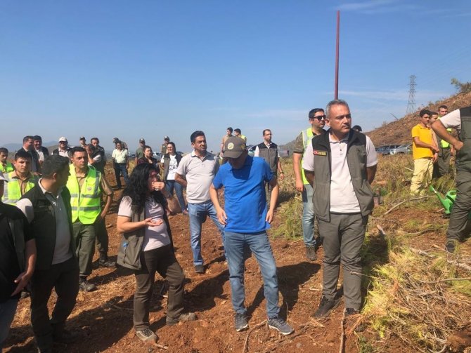 Köyceğiz Ve Dalaman Orman İ̇şletmelerinin Silvikültür Tatbikatı Yapıldı