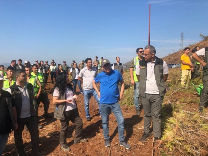 Köyceğiz Ve Dalaman Orman İ̇şletmelerinin Silvikültür Tatbikatı Yapıldı