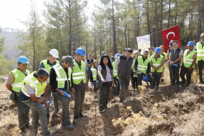 Yatağan, Milas Ve Kavaklıdere İ̇şletme Müdürlüklerinin Silvikültür Tatbikatı Yapıldı