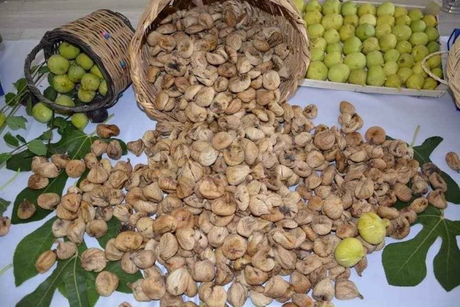 Nazilli Ticaret Borsası’ndan 300 Milyon Dolarlık İhracat Vurgusu