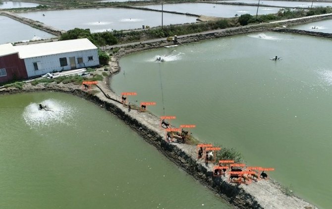 Tayvan’da Sokak Köpekleri Sorununa Dronlu Çözüm