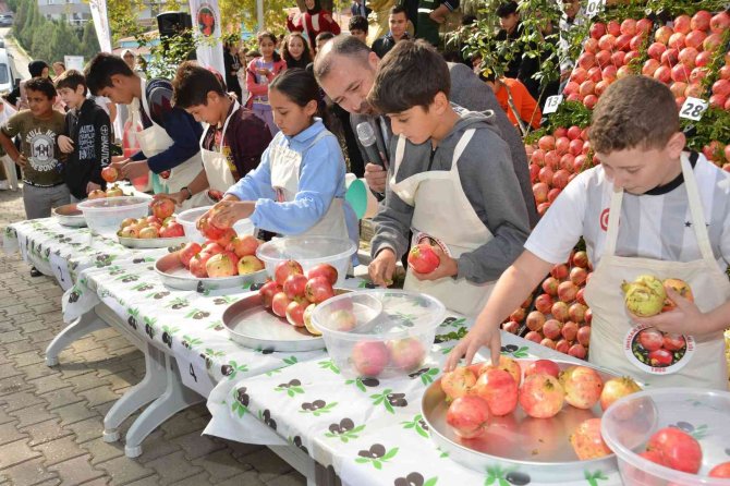 3. Geleneksel Nar Şenliği’nde Renkli Görüntüler Oluştu