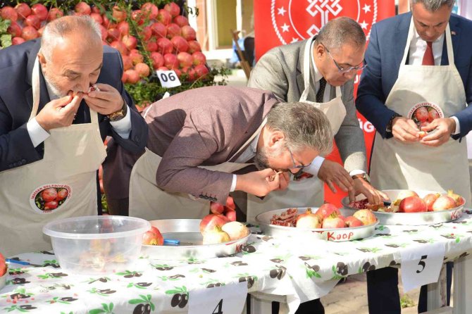 3. Geleneksel Nar Şenliği’nde Renkli Görüntüler Oluştu