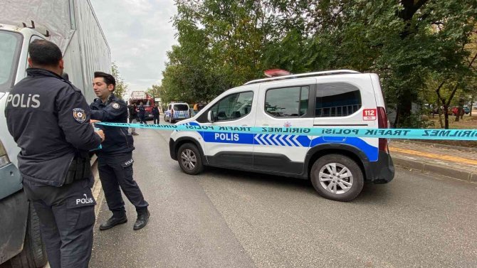 Bursa’da Ayva Toplamak İsterken Hayatını Kaybetti