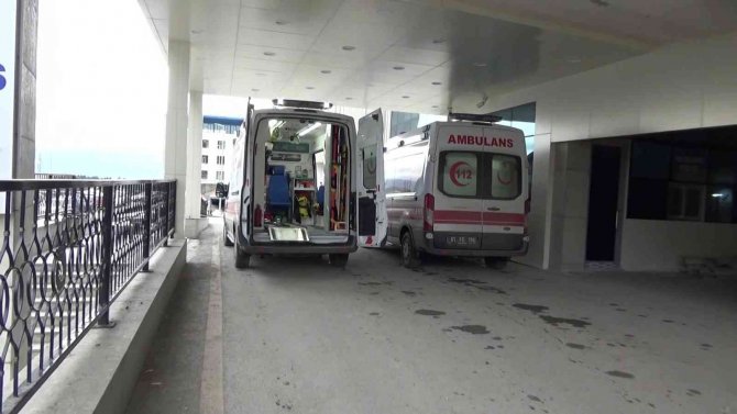 Kestane Toplarken Ayı Saldırısına Uğraşan Şahıs Yaralandı