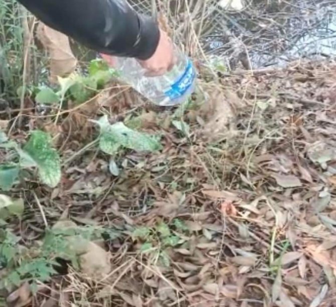 Iğdır’da Apartman Bodrumunda Yakalanan Su Yılanı Doğaya Bırakıldı