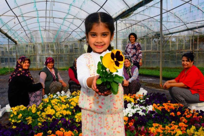 Kooperatifler Tek Çatı Altında Toplanıyor