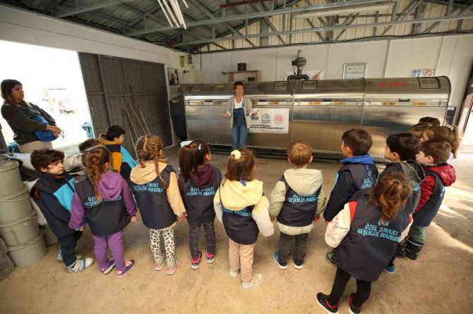 Nilüfer’de Geleceğin Çiftçileri Tarım Öğreniyor