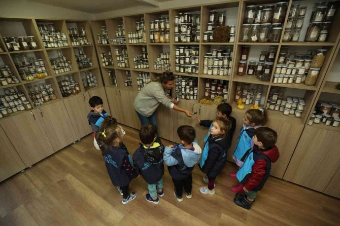 Nilüfer’de Geleceğin Çiftçileri Tarım Öğreniyor