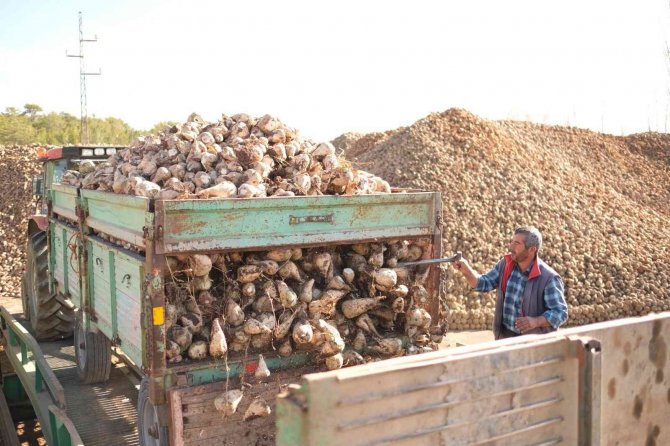 Konya Şeker’den Pancar Üreticisine 221 Milyon Lira Avans
