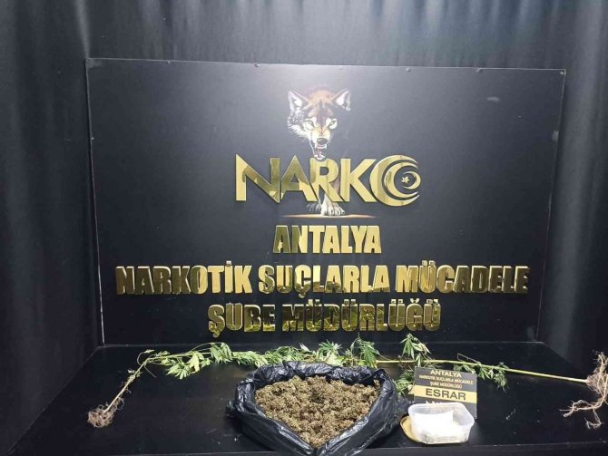 Antalya’da 9 Kilo Esrarın Şehre Girmesi Engelledi