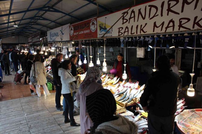 Bandırma’da Palamut Rekor Kırdı