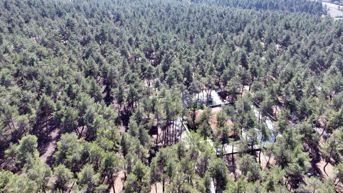 Bursa’da Eko-turizm Hamlesi Sürüyor