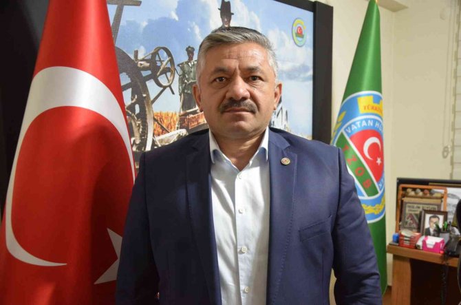 Soydan: “Kahverengi Kokarca Ciddi Bir Şekilde Görülüyor, Fındık İçin Ciddi Bir Zararlı”