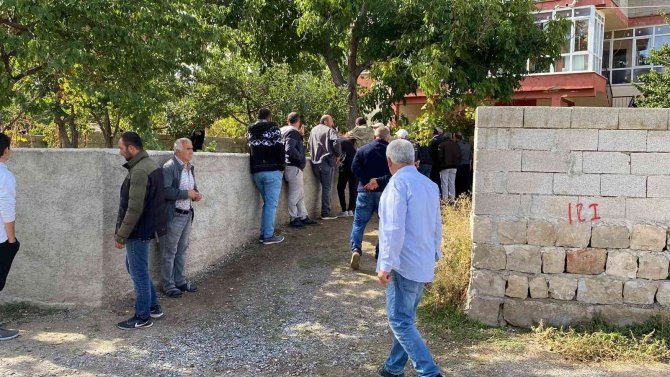 Ceviz Ağacından Düşen Şahıs Hayatını Kaybetti