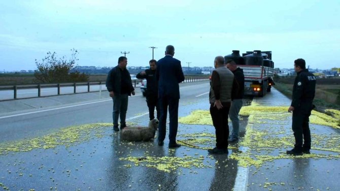 Tır Şoförünün Dikkati Faciayı Önledi