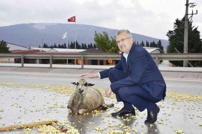 Tır Şoförünün Dikkati Faciayı Önledi