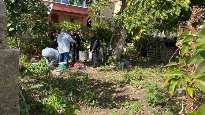 Ceviz Ağacından Düşen Şahıs Hayatını Kaybetti