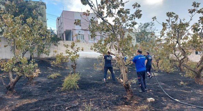 Siirt’te Mezarlıkta Yangın