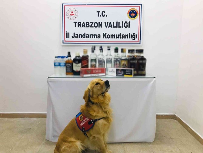 Jandarma Kaçakçılara Göz Açtırmıyor